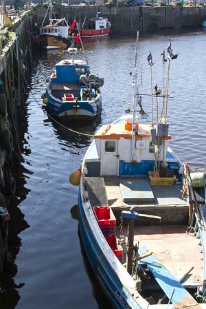 walkworth grange  fish quay 19 sm.jpg